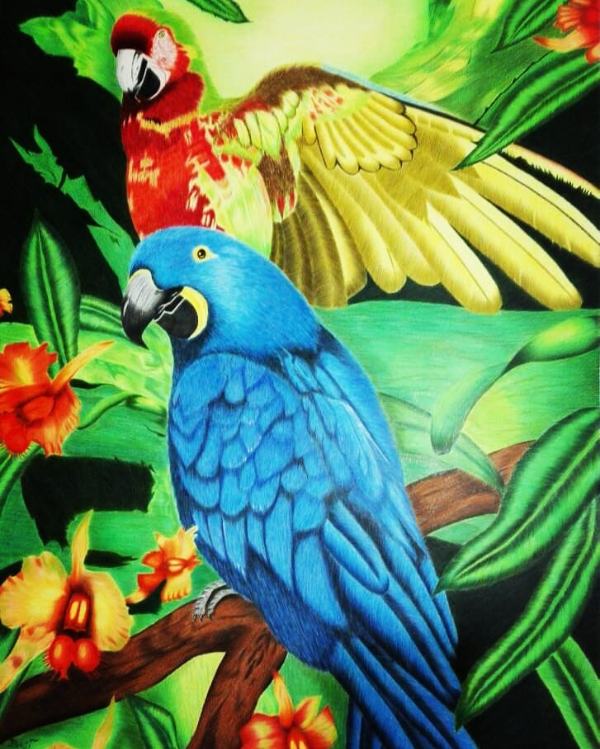 عکس های آموزشگاه هنرهای تجسمی ققنوس عکس های آموزشگاه هنرهای تجسمی ققنوس