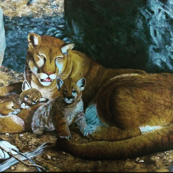 عکس های آموزشگاه هنرهای تجسمی ققنوس عکس های آموزشگاه هنرهای تجسمی ققنوس