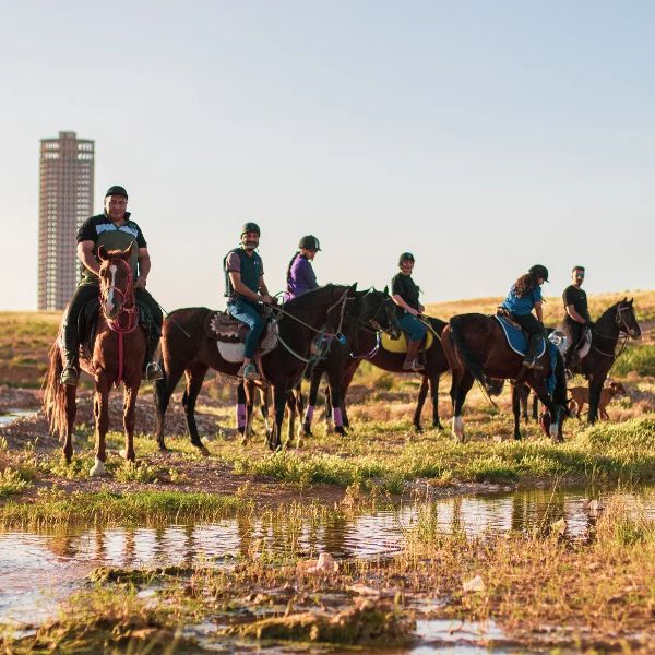 عکس های مجموعه گردشگری اسب سفید شیرازیس عکس های مجموعه گردشگری اسب سفید شیرازیس