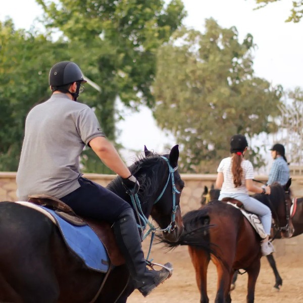 عکس های مجموعه گردشگری اسب سفید شیرازیس عکس های مجموعه گردشگری اسب سفید شیرازیس