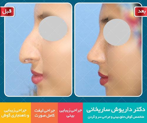 Photo ofDr. Dariush Sarikhani  Photo ofDr. Dariush Sarikhani