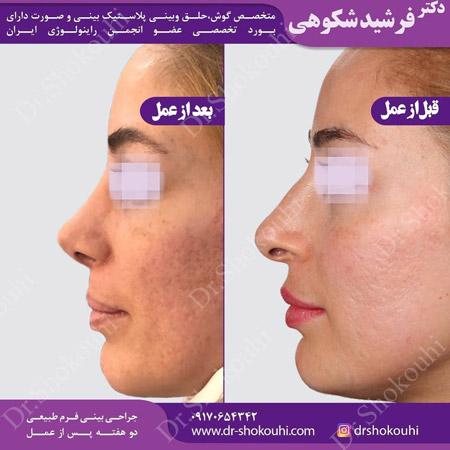 عکس های دکتر فرشید شکوهی عکس های دکتر فرشید شکوهی