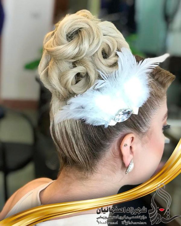 شینیون شینیون