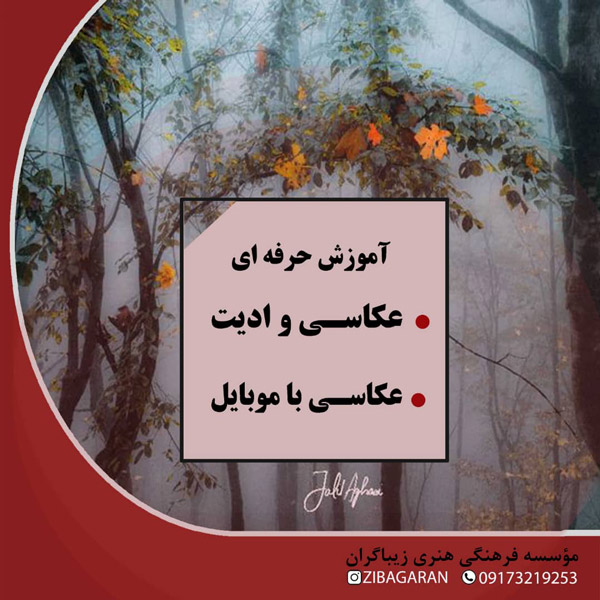 عکس های موسسه هنری زیباگران عکس های موسسه هنری زیباگران